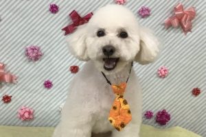 2月のお友達☆