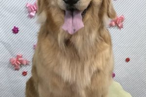 2月のお友達☆