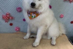 2月のお友達☆