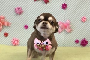 2月のお友達☆