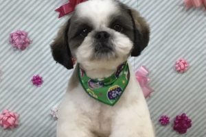 2月のお友達☆