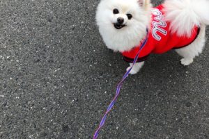 お泊まり中☆