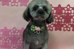 3月のお友達☆