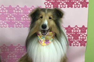 ３月のお友達☆