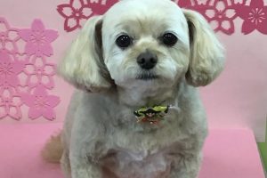3月のお友達☆