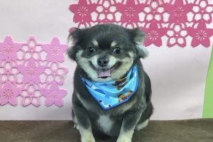 3月のお友達☆