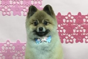 3月のお友達☆