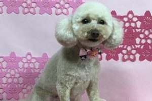 3月のお友達☆