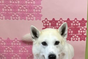 3月のお友達☆