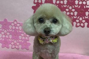 3月のお友達☆