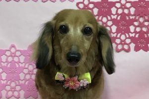 3月のお友達☆