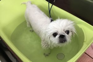 ３月のお友達☆