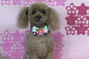 ３月のお友達☆