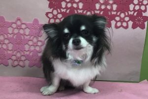 3月のお友達☆