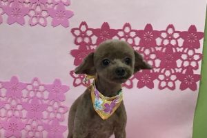 3月のお友達☆