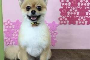 ３月のお友達☆