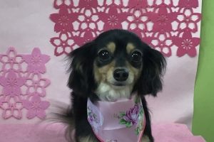 3月のお友達☆