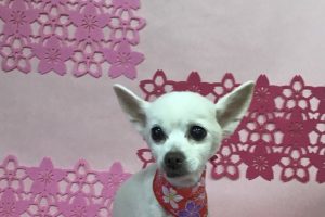 3月のお友達☆