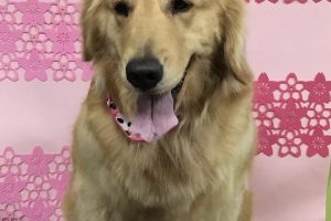 ３月のお友達☆