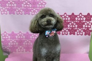 ３月のお友達☆