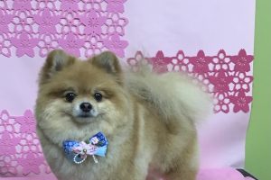 ３月のお友達☆