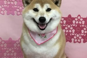 3月のお友達☆