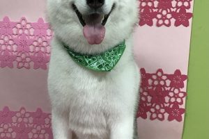 3月のお友達☆