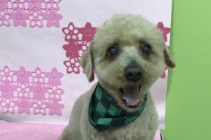3月のお友達☆