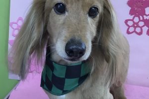 3月のお友達☆