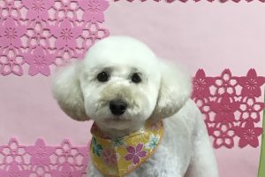 3月のお友達☆