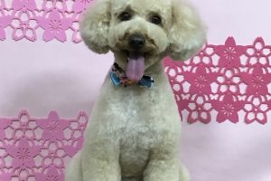 3月のお友達☆