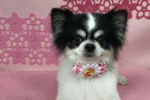 3月のお友達☆