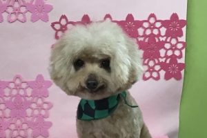 3月のお友達☆