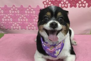 ３月のお友達☆