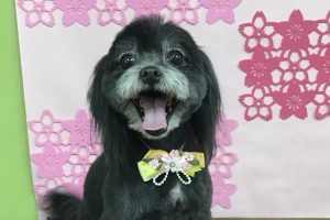 3月のお友達☆