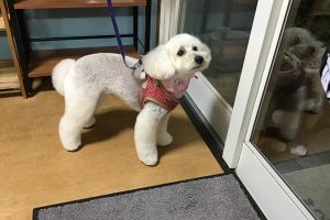 3月のお友達☆
