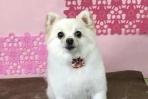 3月のお友達☆