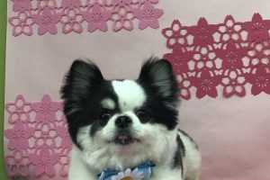 3月のお友達☆
