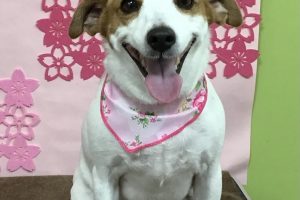 3月のお友達☆