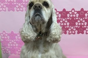 3月のお友達☆