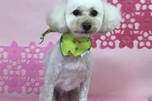 3月のお友達☆
