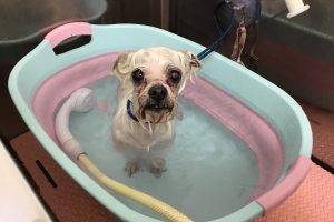 ３月のお友達☆