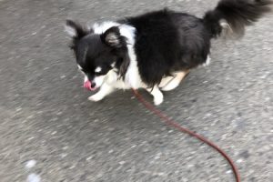 お泊まり中☆