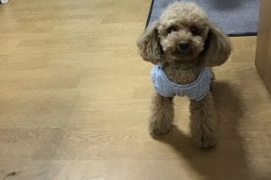 お泊り中☆