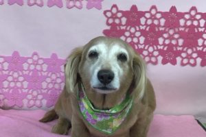 ３月のお友達☆