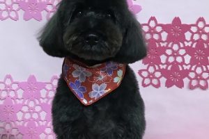 ３月のお友達☆