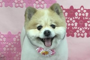 3月のお友達☆