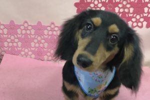 ３月のお友達☆