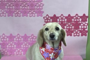 ３月のお友達☆