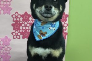 3月のお友達☆